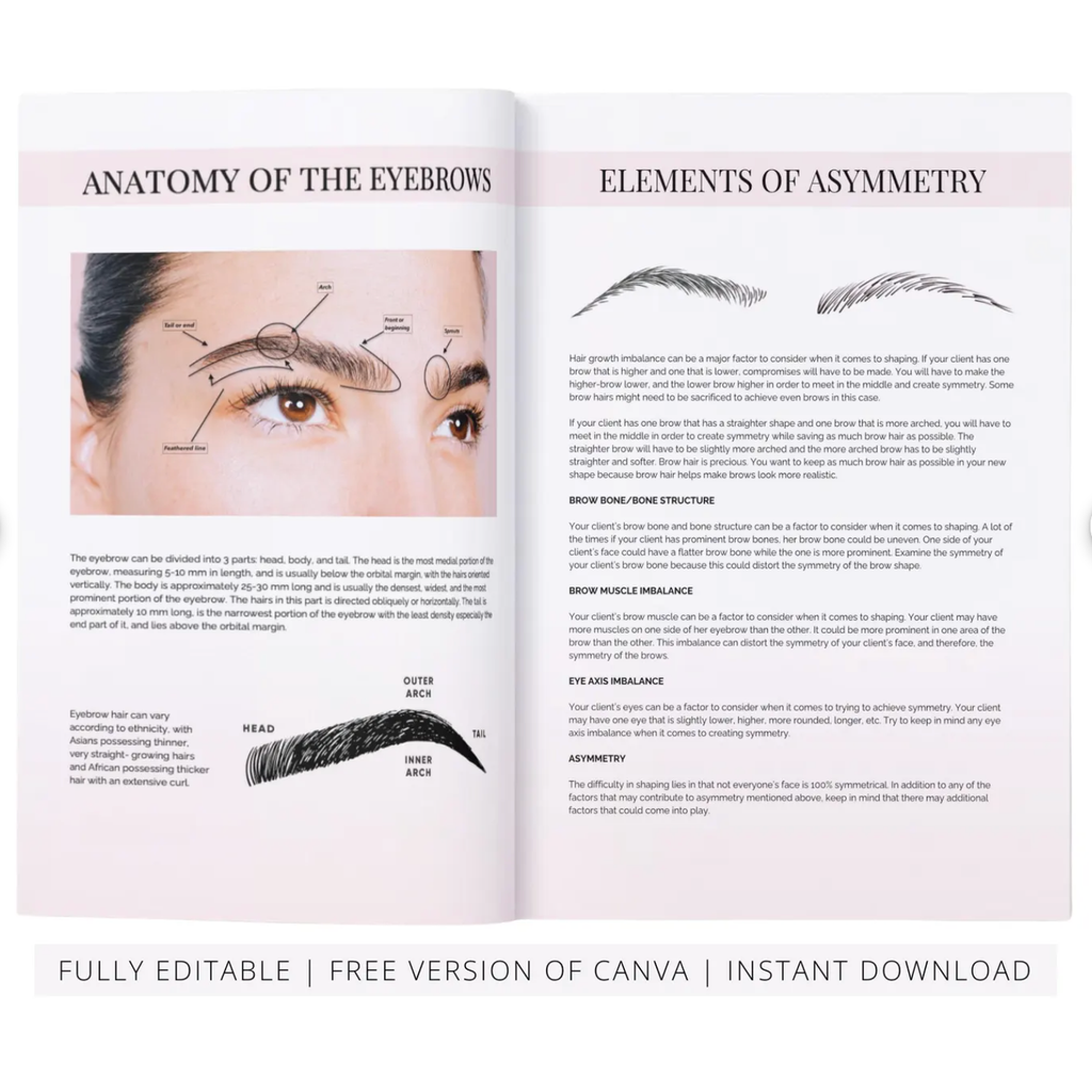 Eyebrow Mapping Course Editable Training Manual