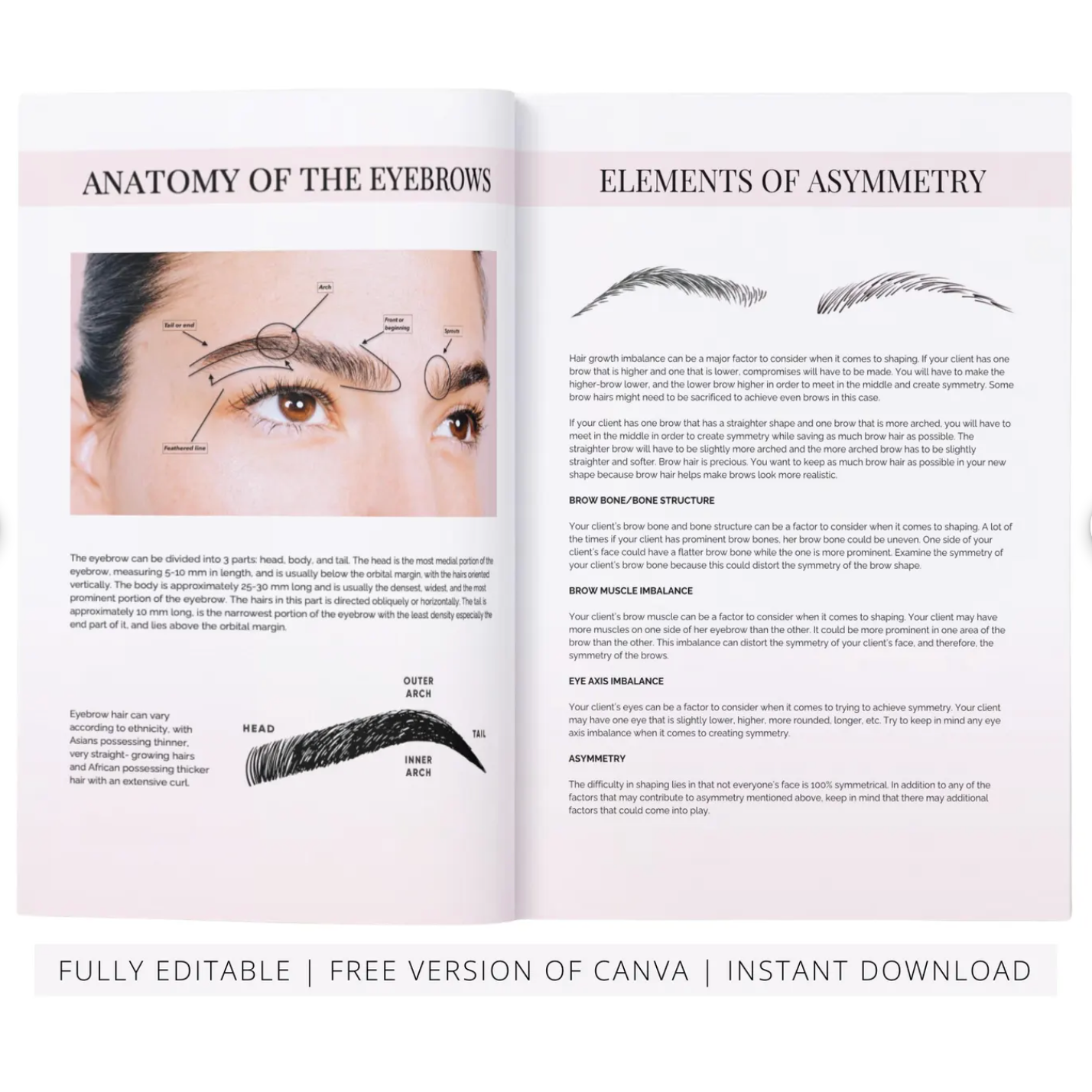 Eyebrow Mapping Course Editable Training Manual